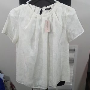 Ann Taylor short sleeve blouse nwt